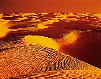 腾讯《CFHD》火麒麟全民免费送：白嫖永久 不用888